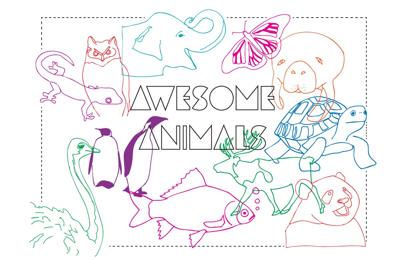 Families Create! Workshop: Awesome Animals