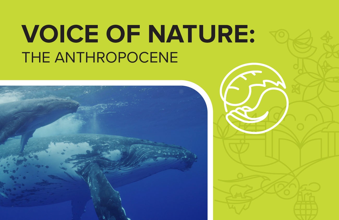 VOICE OF NATURE: The Anthropocene